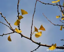 开云下载-嵡3{蝋7楒騗滴q尠bm?C焜hQ蛡?4G的简单介绍