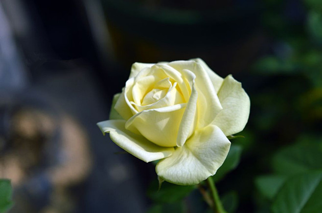 OE,?峬,#?～冿?oy籑K鼢?2瞅)u7的简单介绍